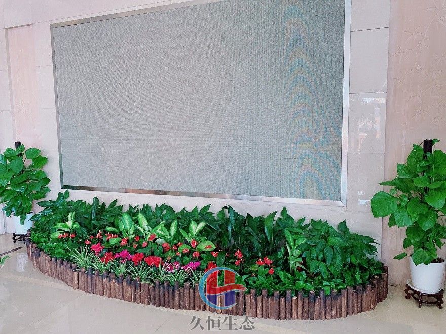 嘉善企业大厅显示屏组合花卉绿植摆放